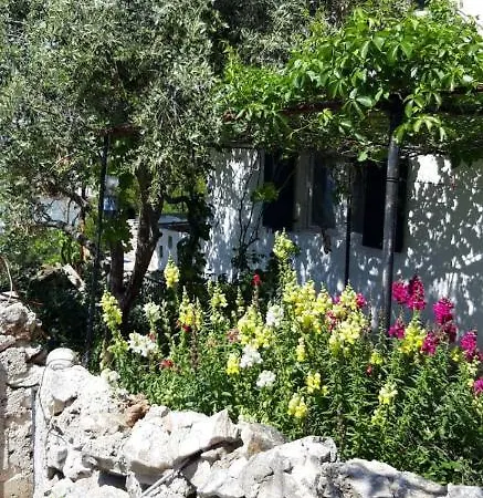 Holiday home Fisherman's House Vilma - Otok Zut